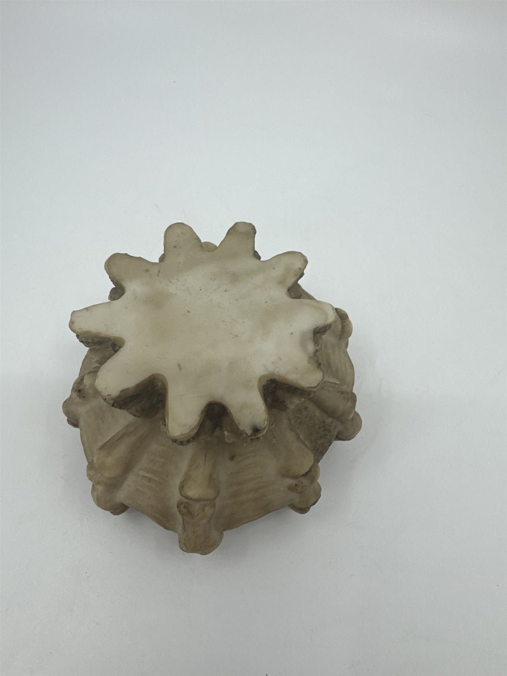 Vintage Resin Skull Fire Bones Jewelry Dish Ashtray Tray Spikey Bones Halloween