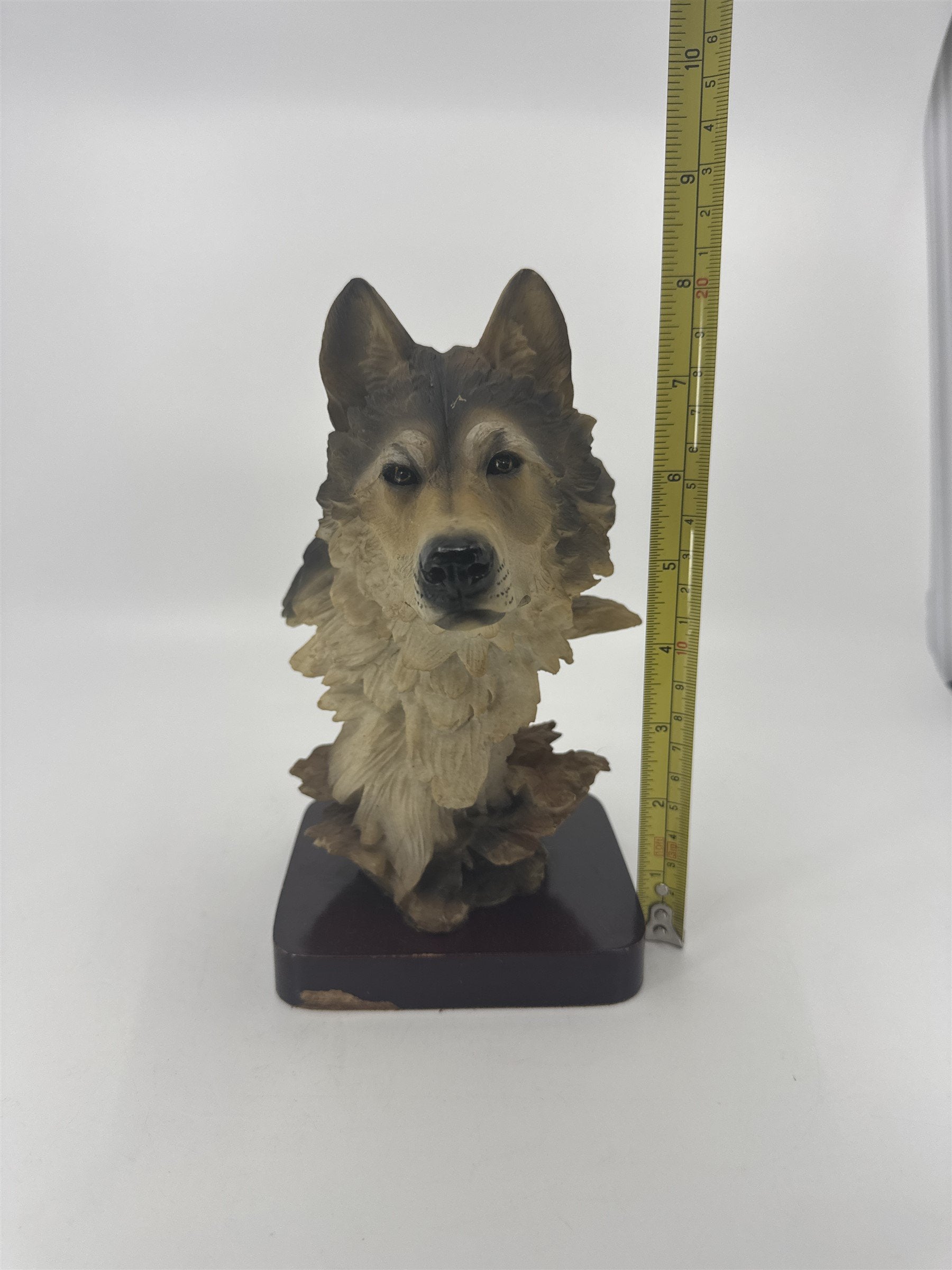 Wolf Head Bust on Base Wild Wolf Sculpture Figurine 8" Tall