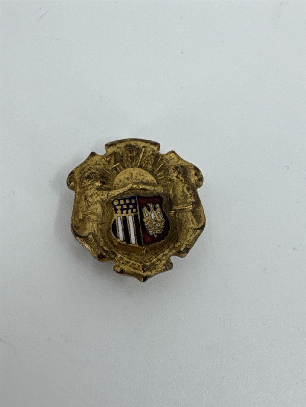 Vintage ZPA Polish Womens Alliance of America Pin Zwiazek Polek