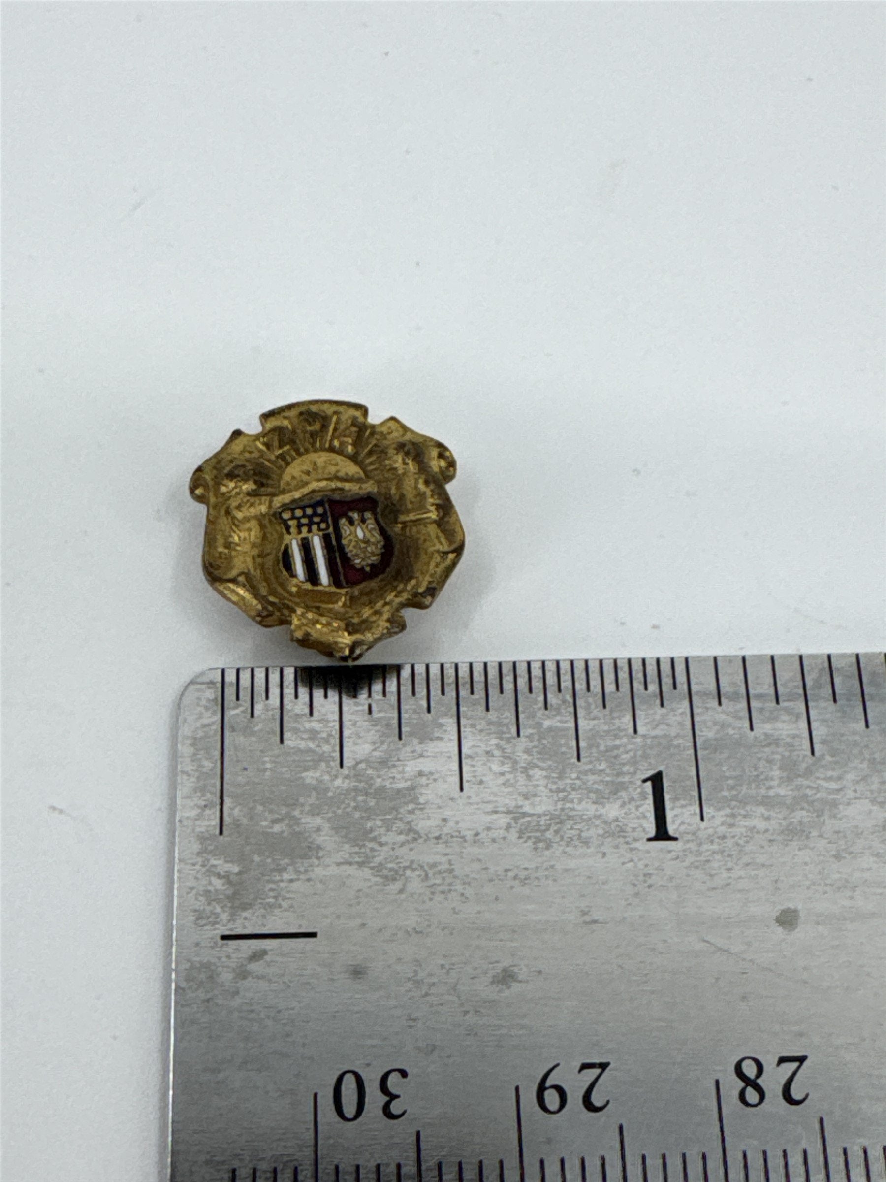 Vintage ZPA Polish Womens Alliance of America Pin Zwiazek Polek