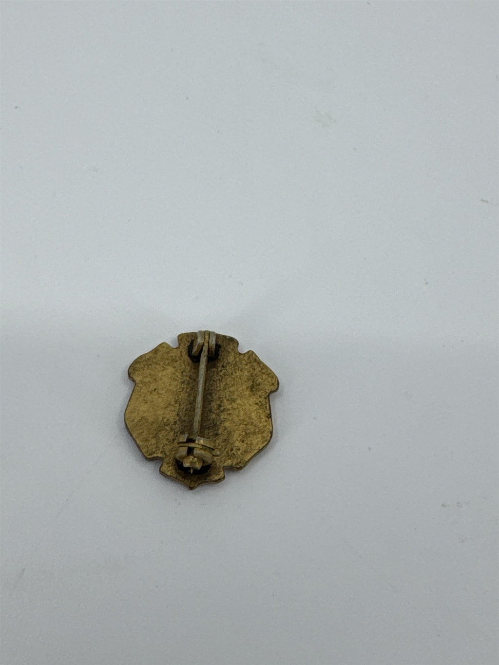 Vintage ZPA Polish Womens Alliance of America Pin Zwiazek Polek