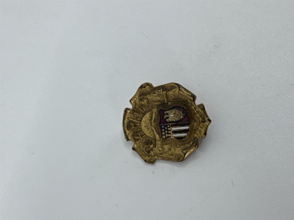 Vintage ZPA Polish Womens Alliance of America Pin Zwiazek Polek