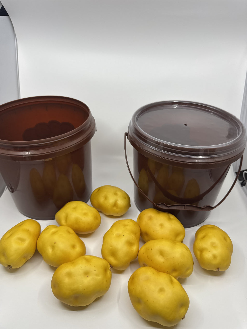 Poop The Potato Party Game, Makes A Fun Gift For All Parties,Birthdays,Weddings