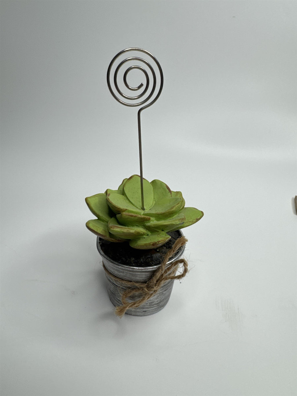 Heavy Resin Planted Succulent in Pot Greenery Floral Note Card Post Card Holder