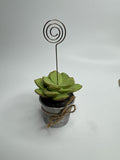 Heavy Resin Planted Succulent in Pot Greenery Floral Note Card Post Card Holder