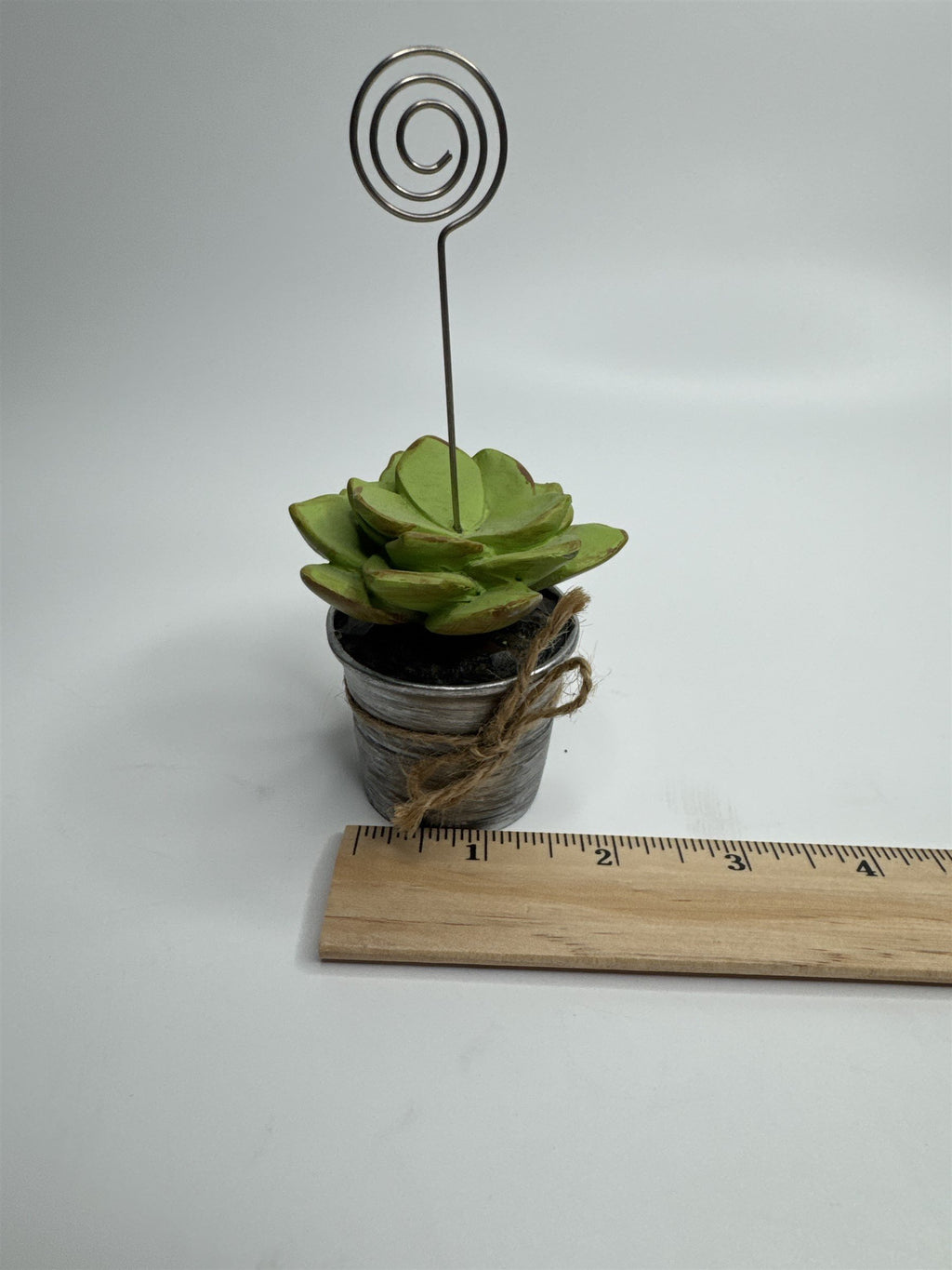 Heavy Resin Planted Succulent in Pot Greenery Floral Note Card Post Card Holder
