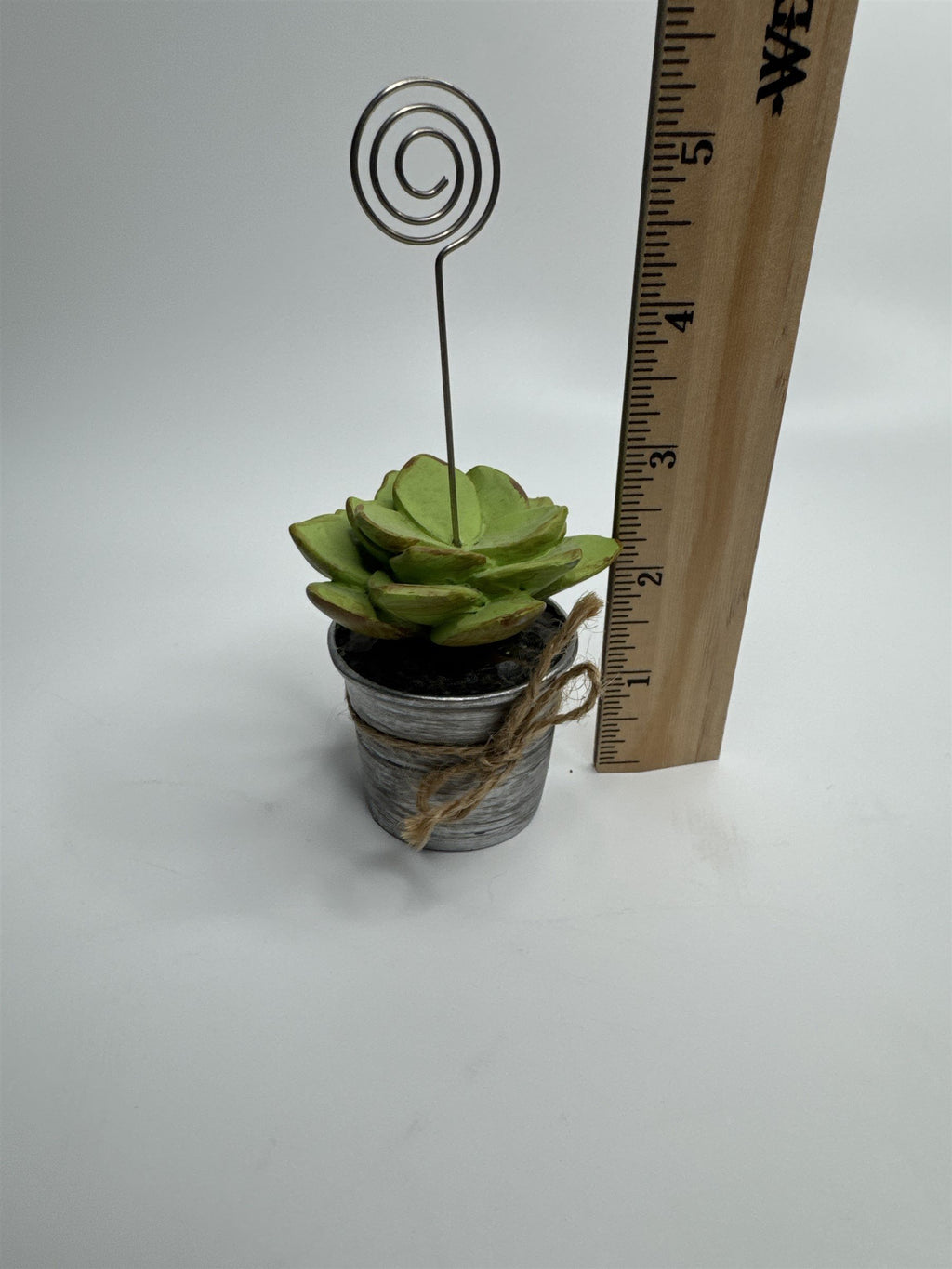 Heavy Resin Planted Succulent in Pot Greenery Floral Note Card Post Card Holder