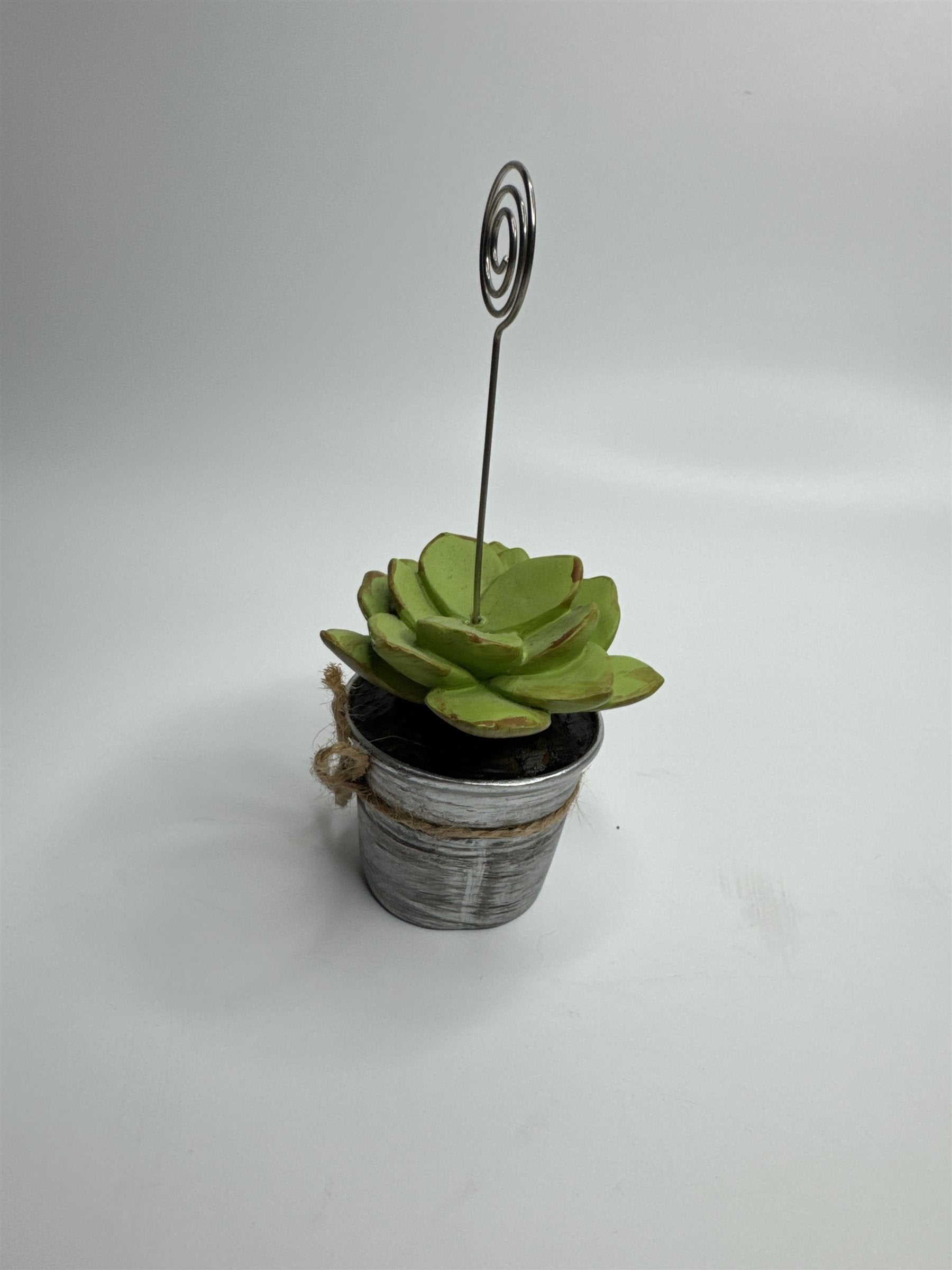 Heavy Resin Planted Succulent in Pot Greenery Floral Note Card Post Card Holder