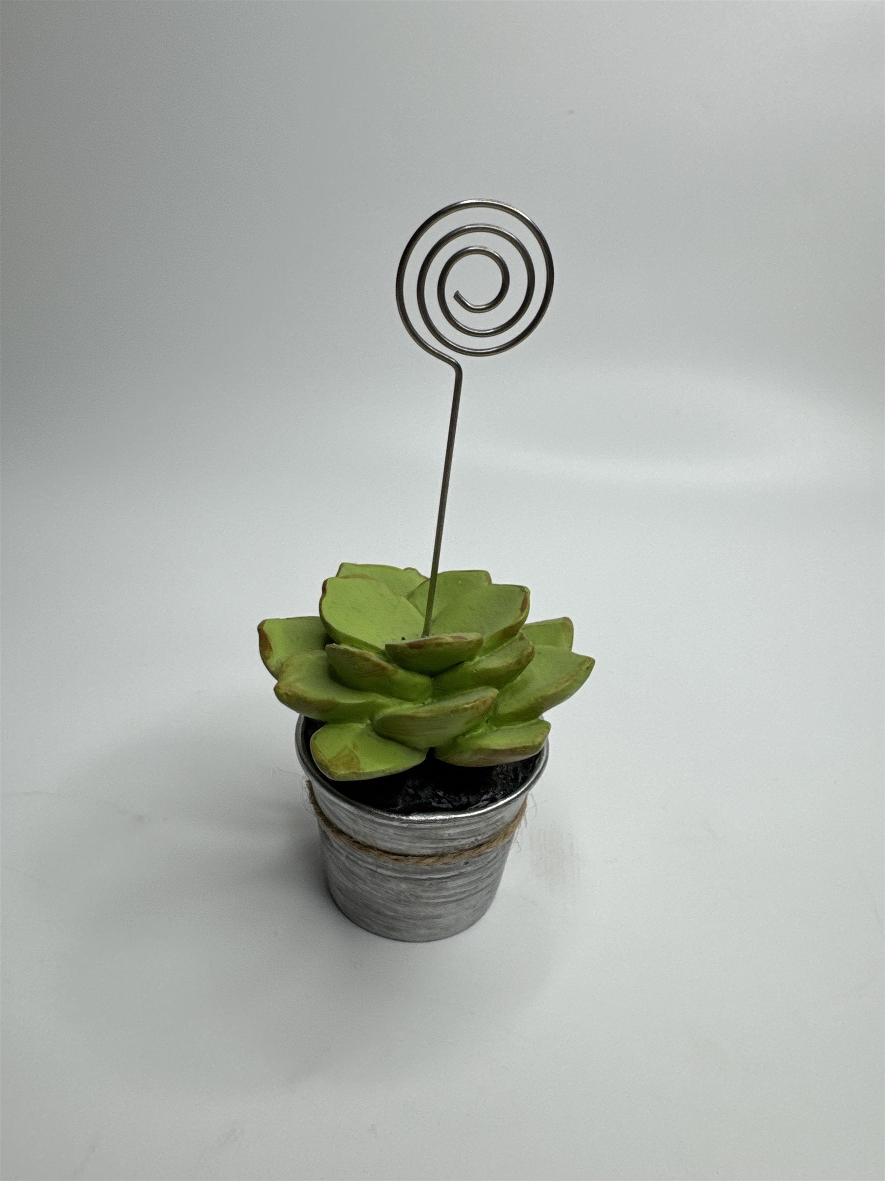 Heavy Resin Planted Succulent in Pot Greenery Floral Note Card Post Card Holder