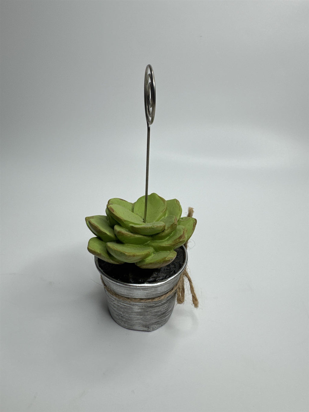Heavy Resin Planted Succulent in Pot Greenery Floral Note Card Post Card Holder