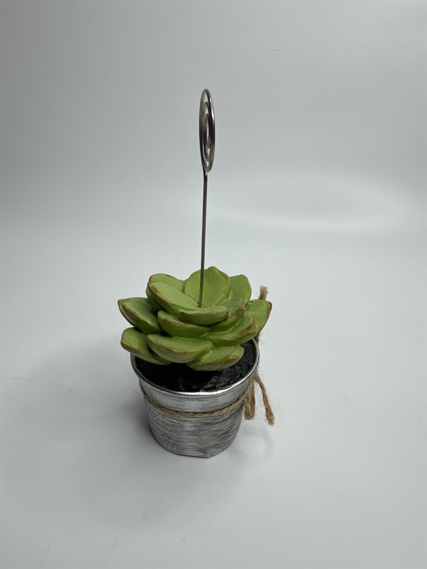 Heavy Resin Planted Succulent in Pot Greenery Floral Note Card Post Card Holder