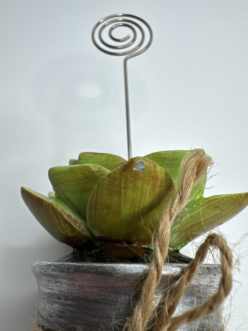 Heavy Resin Planted Succulent in Pot Greenery Floral Note Card Post Card Holder