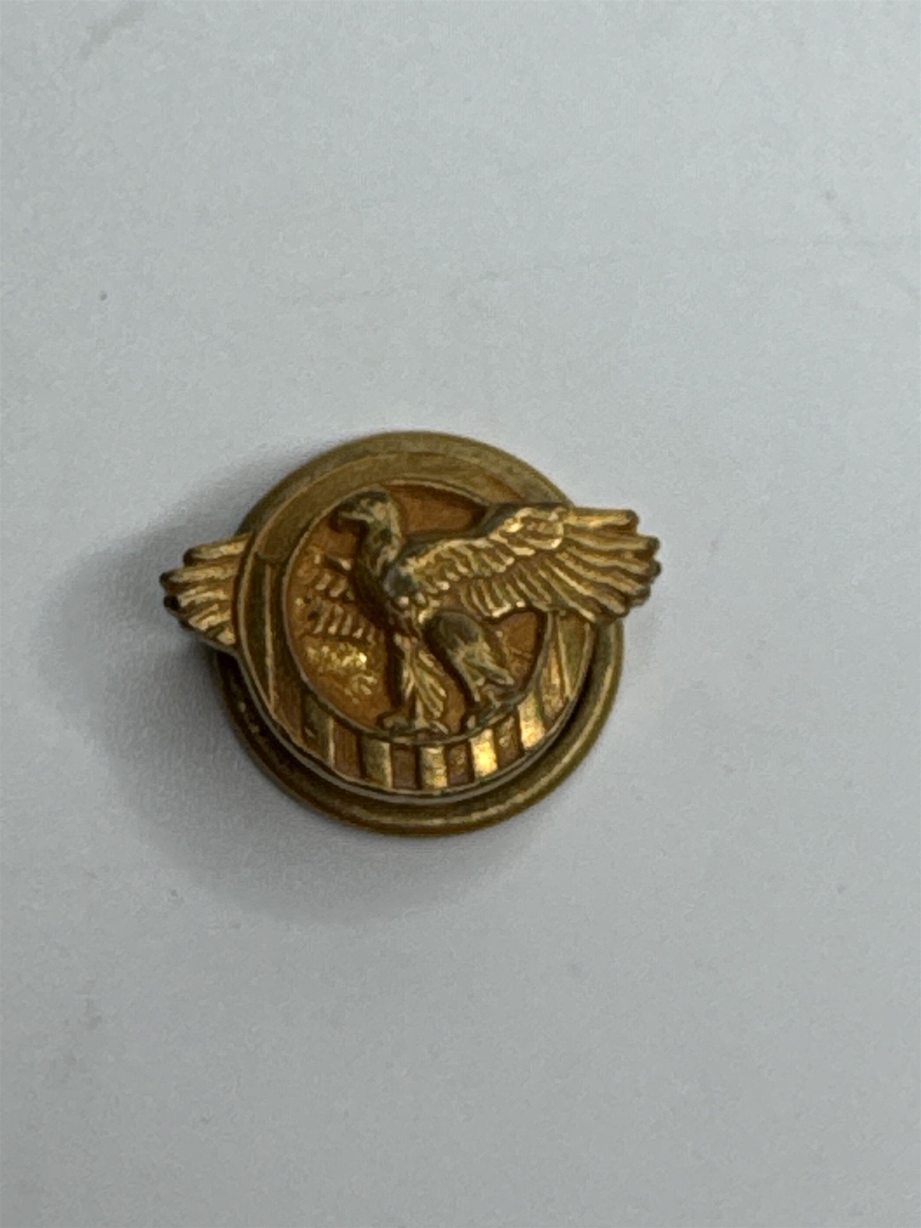 Vintage WWII US Air Corps Ruptured Duck Insignia Honorable Discharge Button