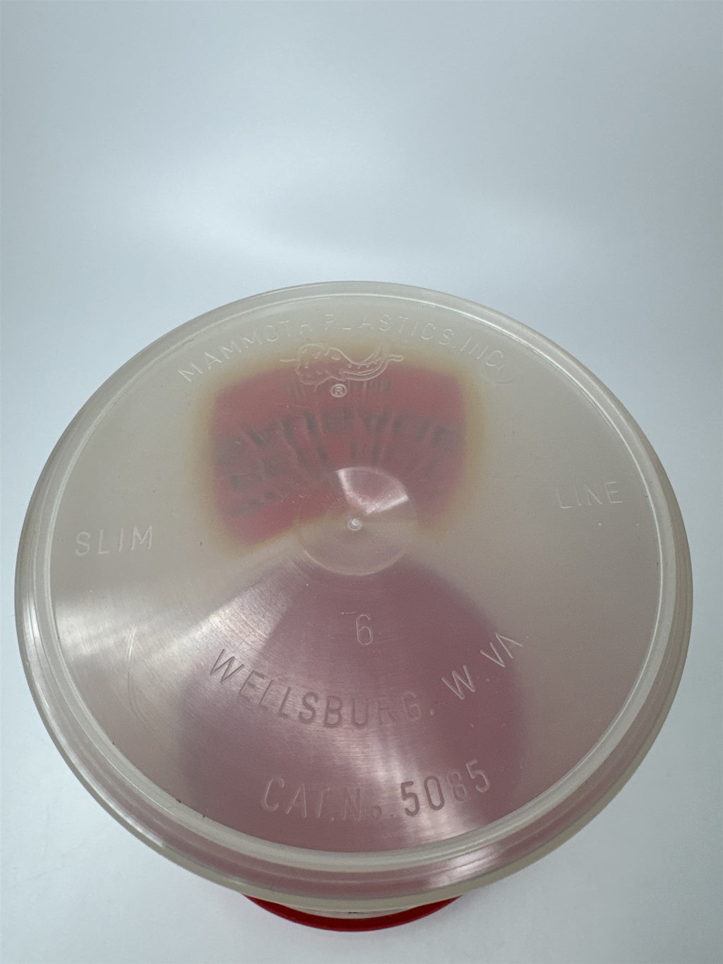 Vintage Bighorn Smoked Beef Red Hot Sausage Plastic Tub