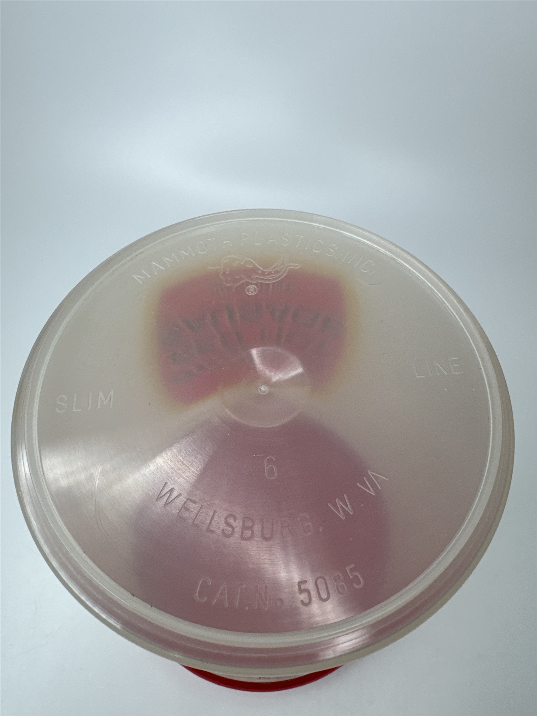 Vintage Bighorn Smoked Beef Red Hot Sausage Plastic Tub
