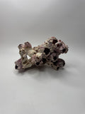 Vtg 8” Purple Acorn Barnacle Coral Cluster Fossil Ocean Seashell Fluorescent