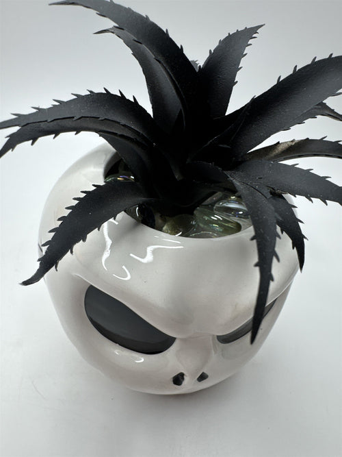Disney The Nightmare Before Christmas Jack Faux Succulent Ceramic Display Mug