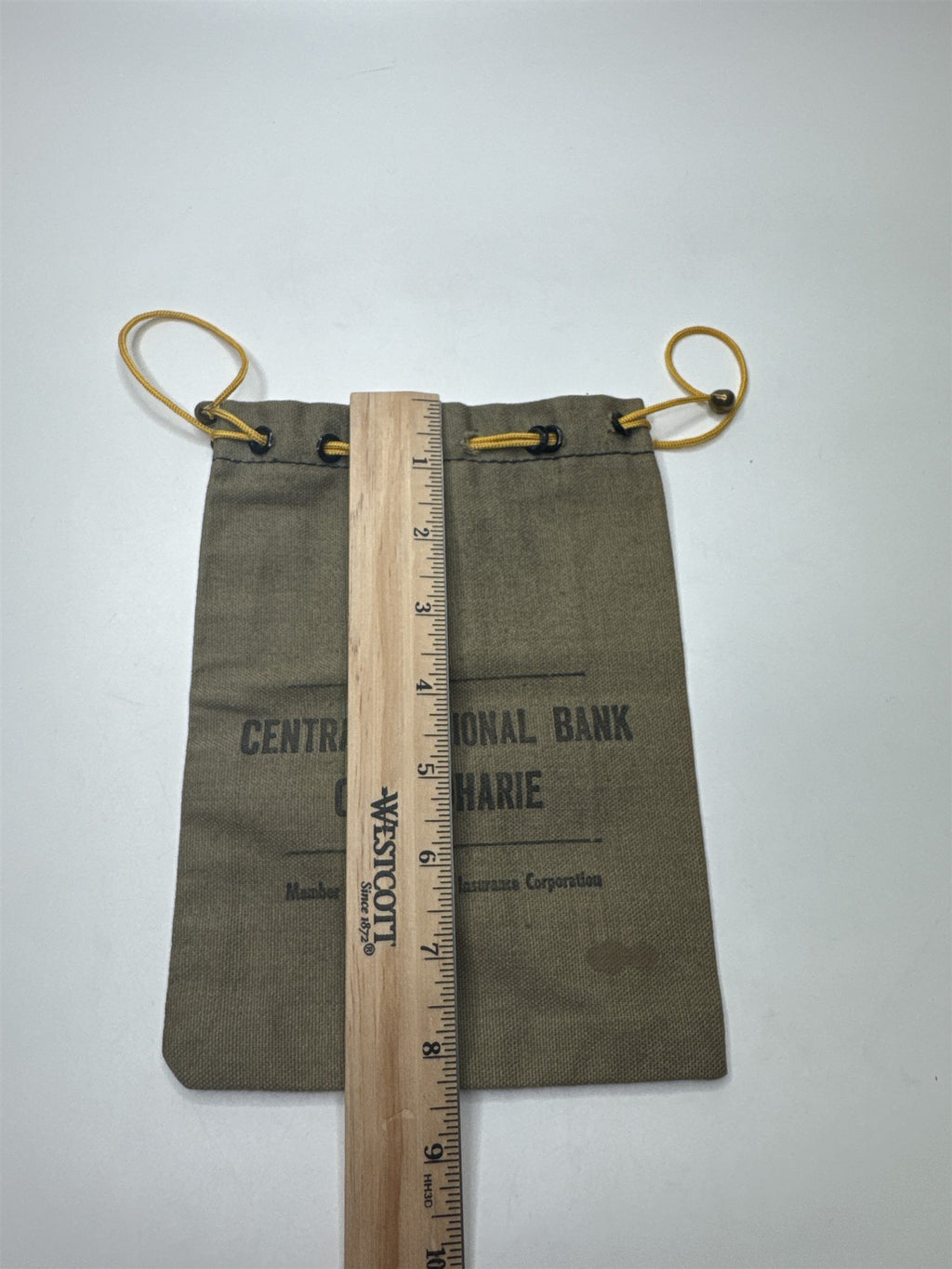 Vintage Central National Bank Canajoharie Deposit Money Coin Drawstring Bank Bag