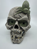 Halloween Skull Decoration with Color Changing Lights and Green Glitter Spider