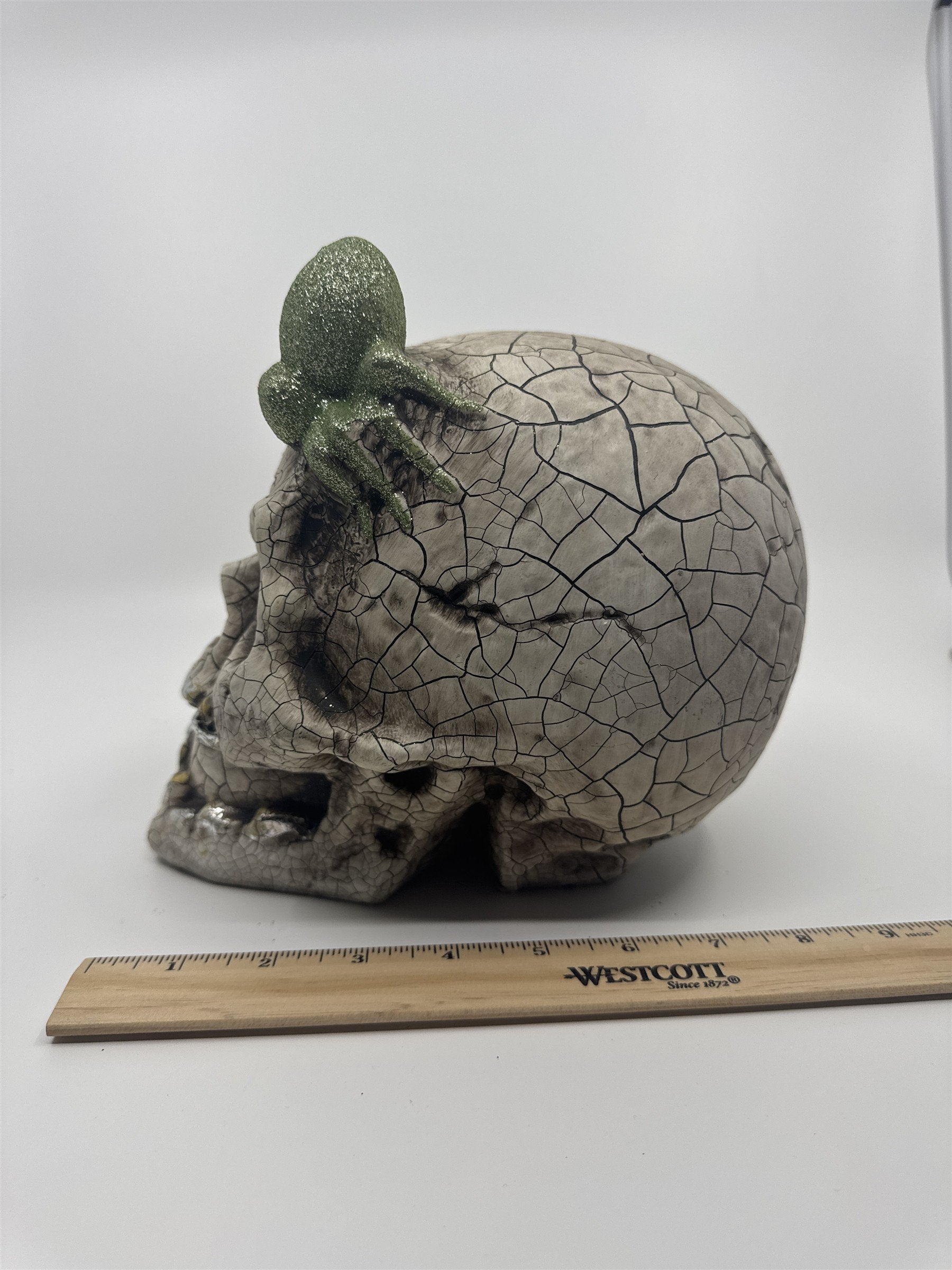 Halloween Skull Decoration with Color Changing Lights and Green Glitter Spider