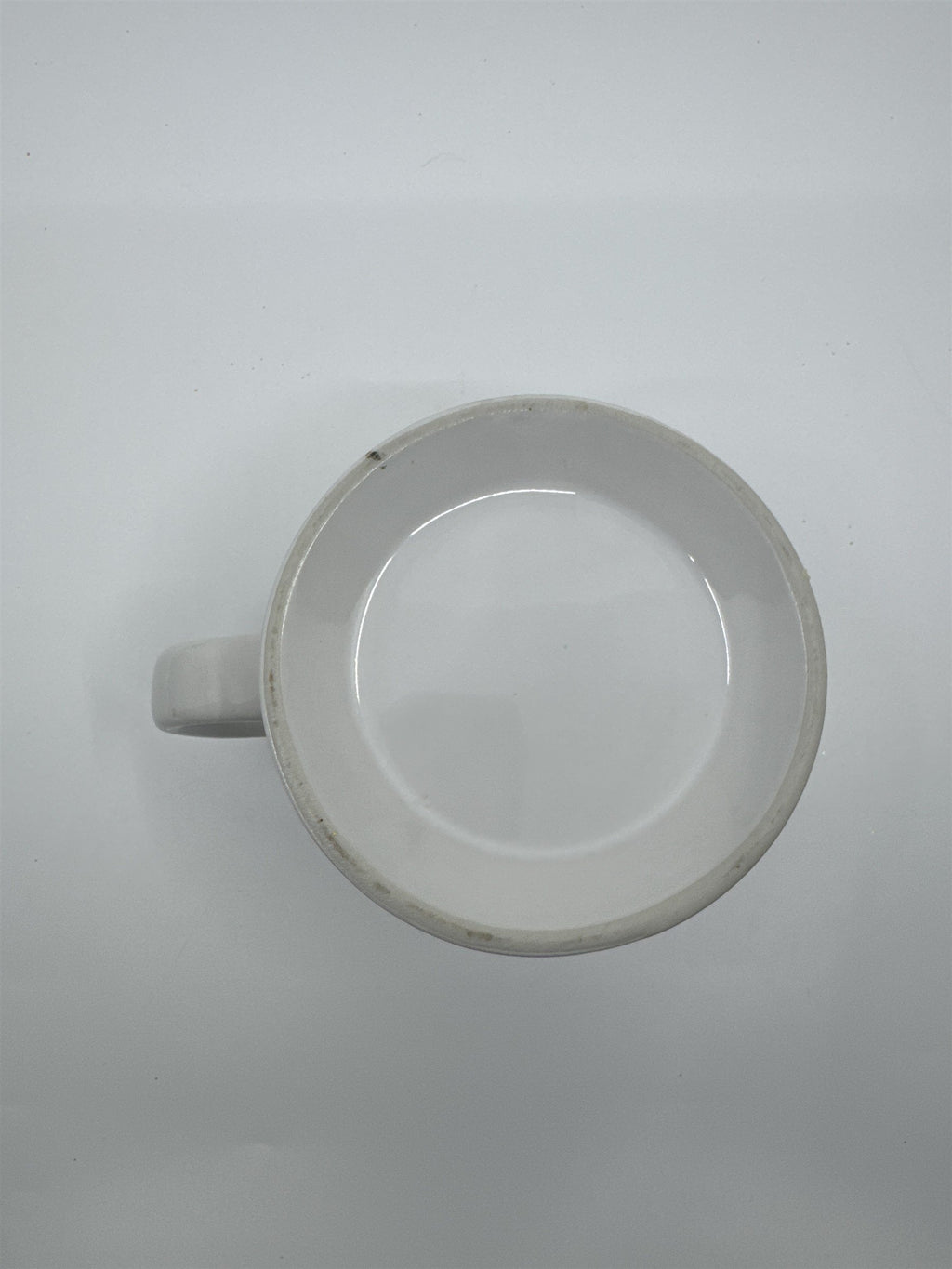 The Legend of Series: Siamese Cat White Coffee Mug Cat Lover's Mug