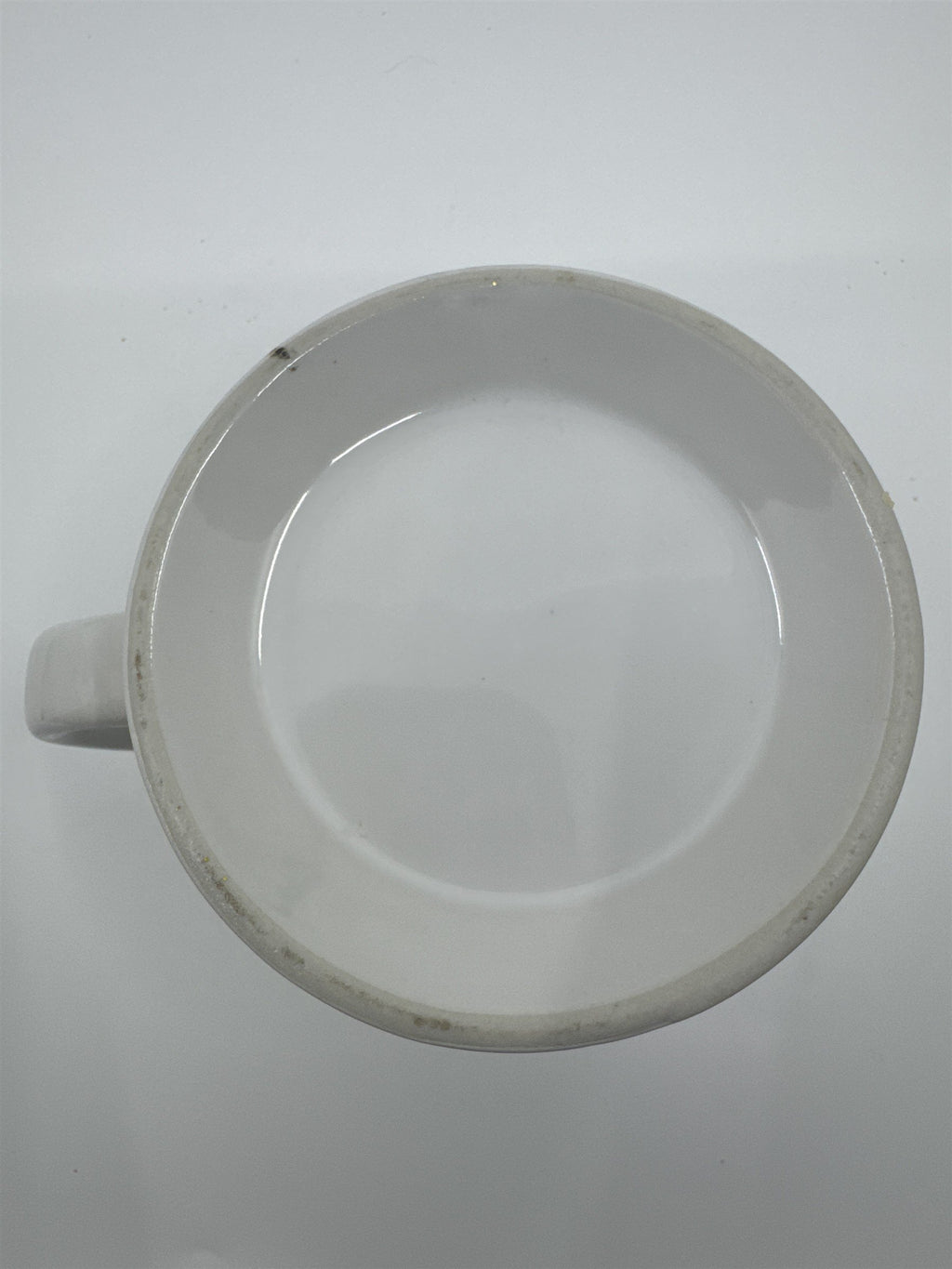 The Legend of Series: Siamese Cat White Coffee Mug Cat Lover's Mug
