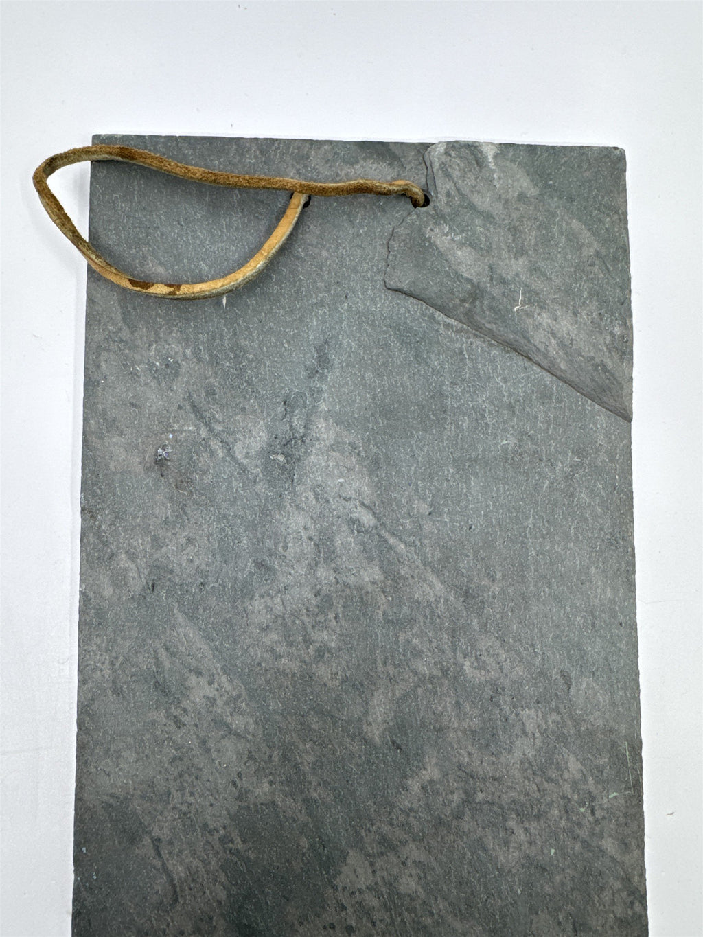 Vintage Hand Painted Hanging Slate Rock with Bird Houses, Vines and A Dragonfly