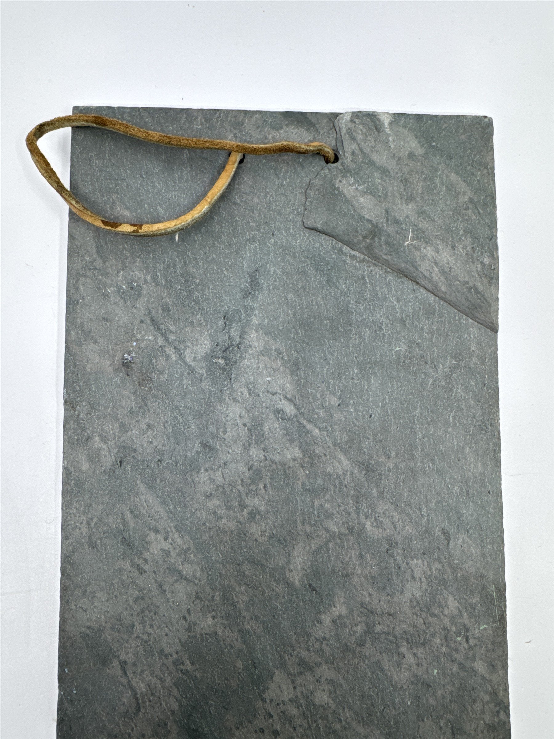 Vintage Hand Painted Hanging Slate Rock with Bird Houses, Vines and A Dragonfly