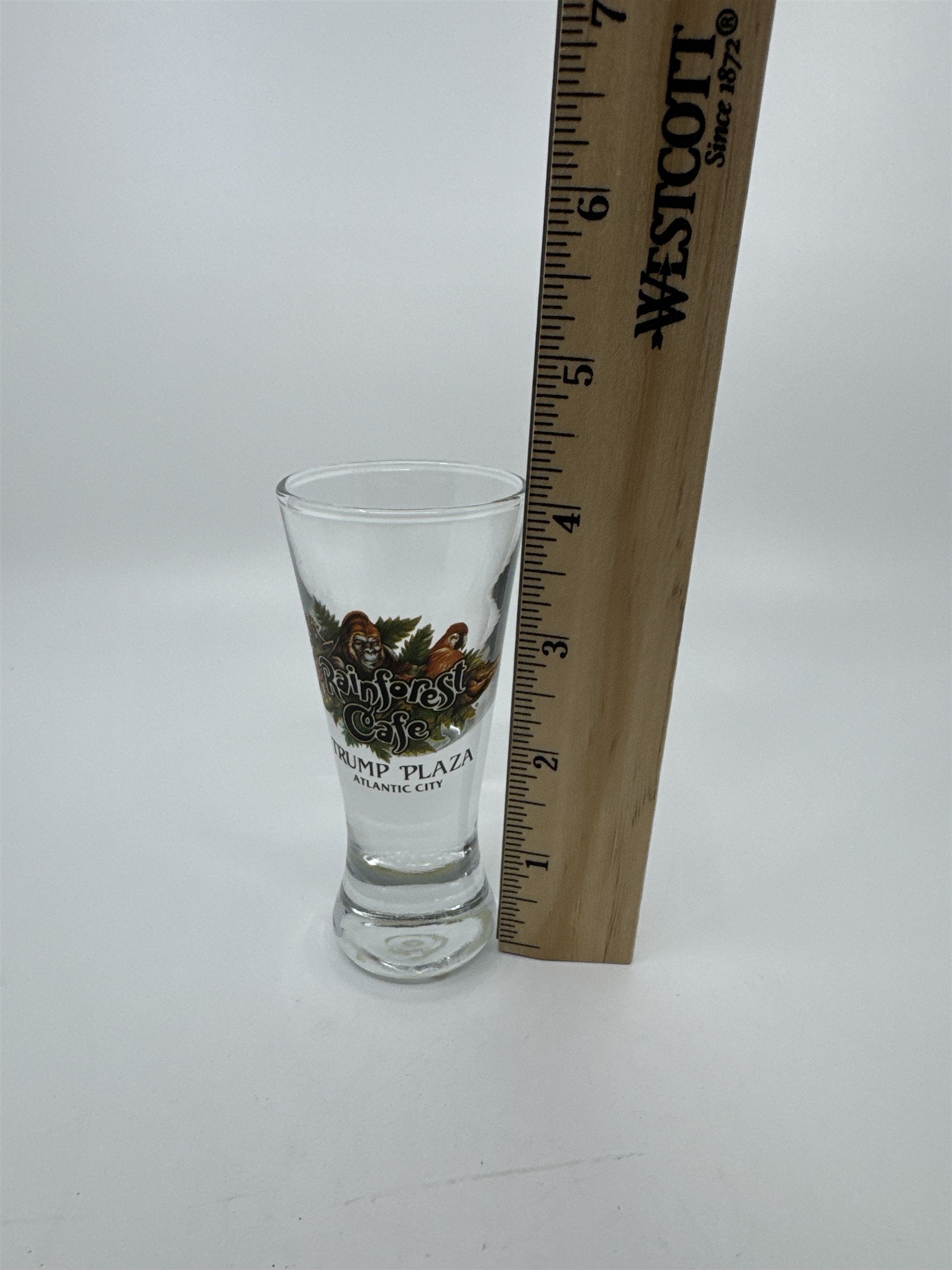 Trump Plaza Rainforest Cafe Shooter Glass