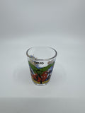Universal Studios Marvel Shot Glass for David Name Printed on It