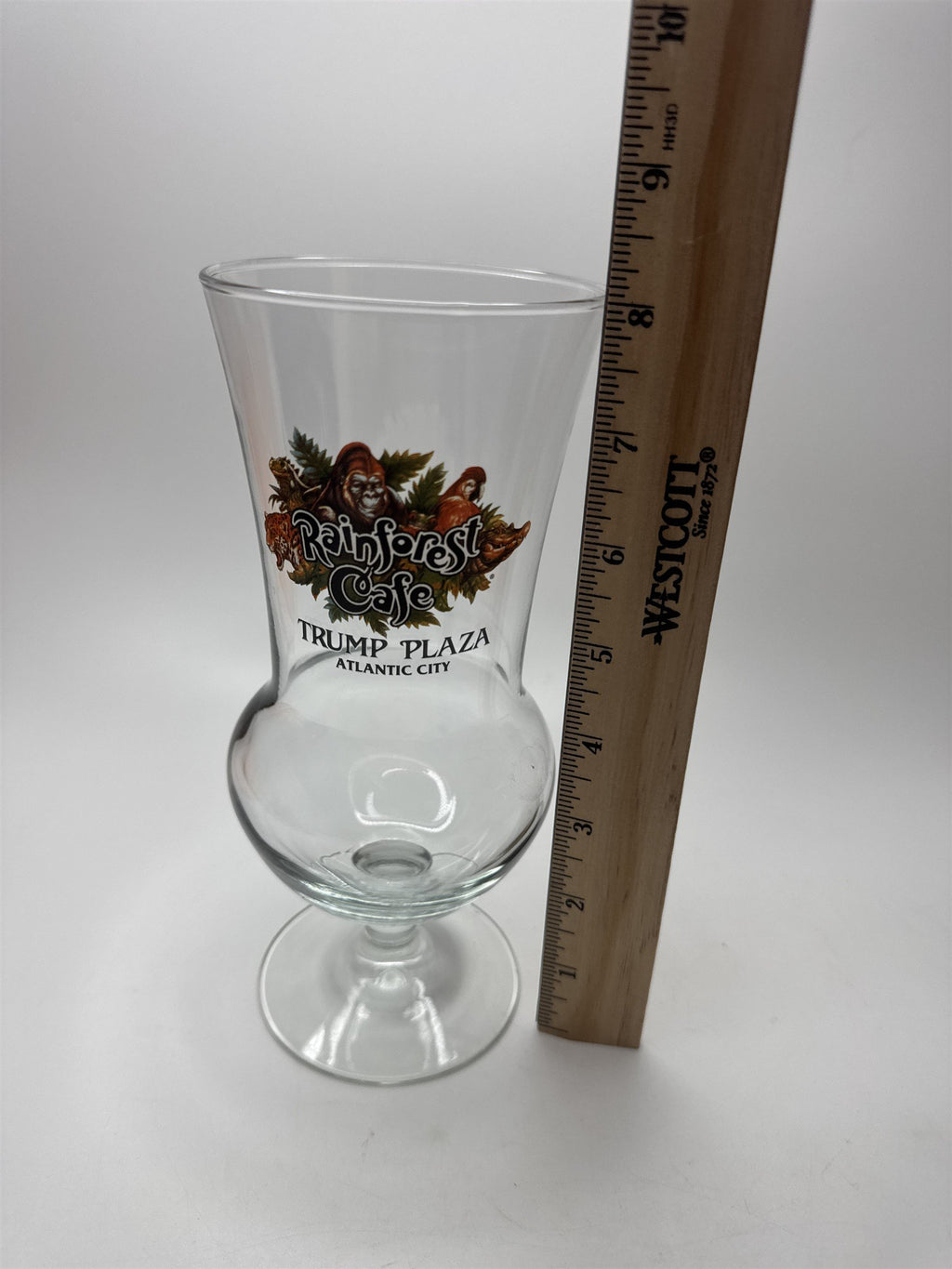 Rainforest Cafe Trump Plaza Atlantic City Souvenir Daiquiri Cocktail Glass