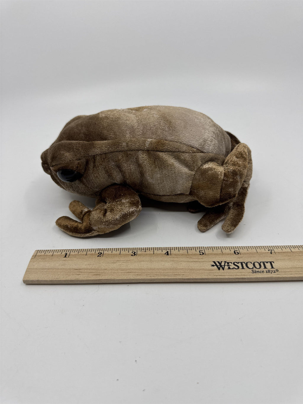 Harry Potter Universal Studios Stuffed/Plush Brown Chocolate Frog