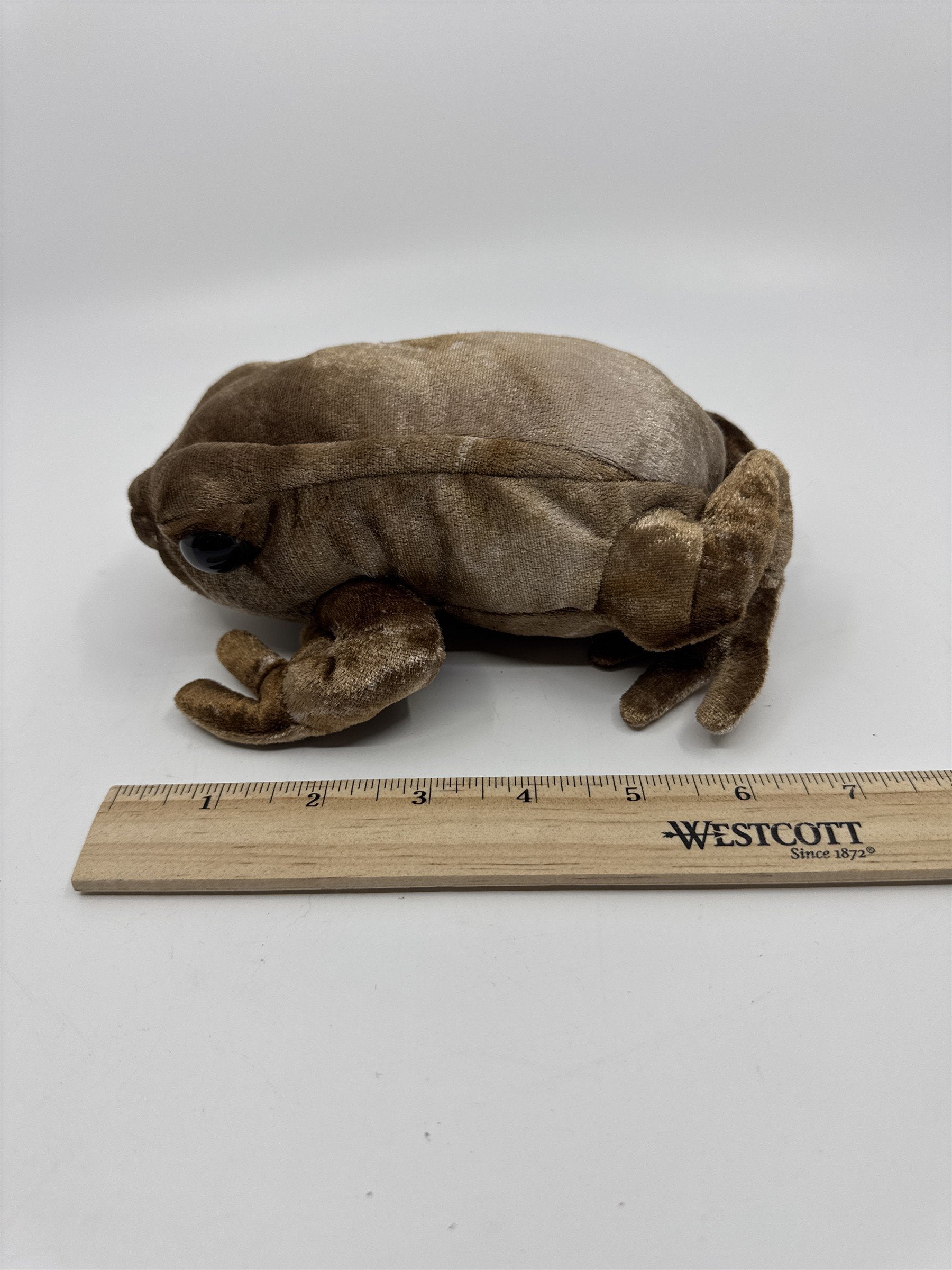 Harry Potter Universal Studios Stuffed/Plush Brown Chocolate Frog