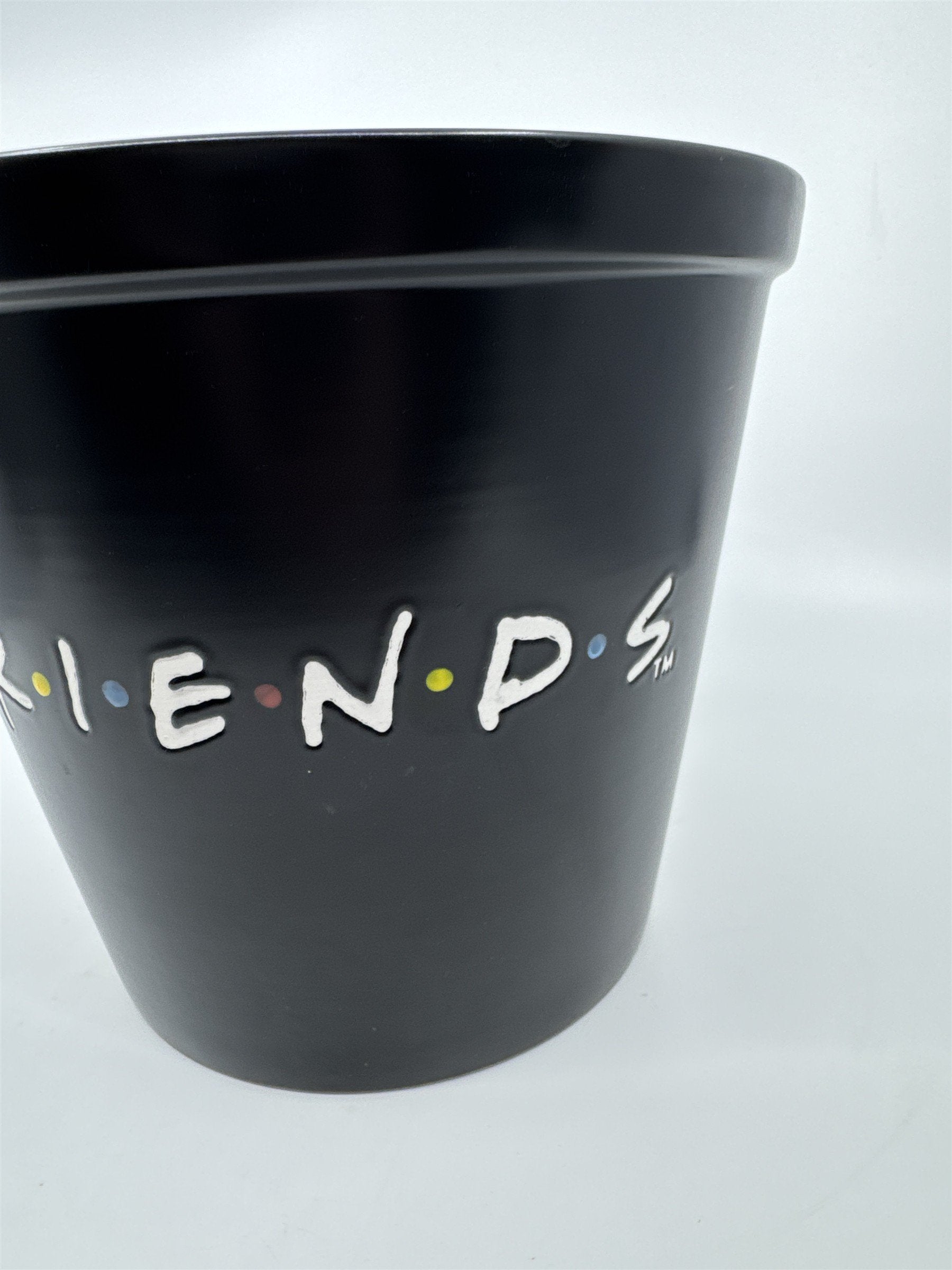 Warner Brothers TV Series Friends Ceramic Popcorn Serving Bucket/Bowl