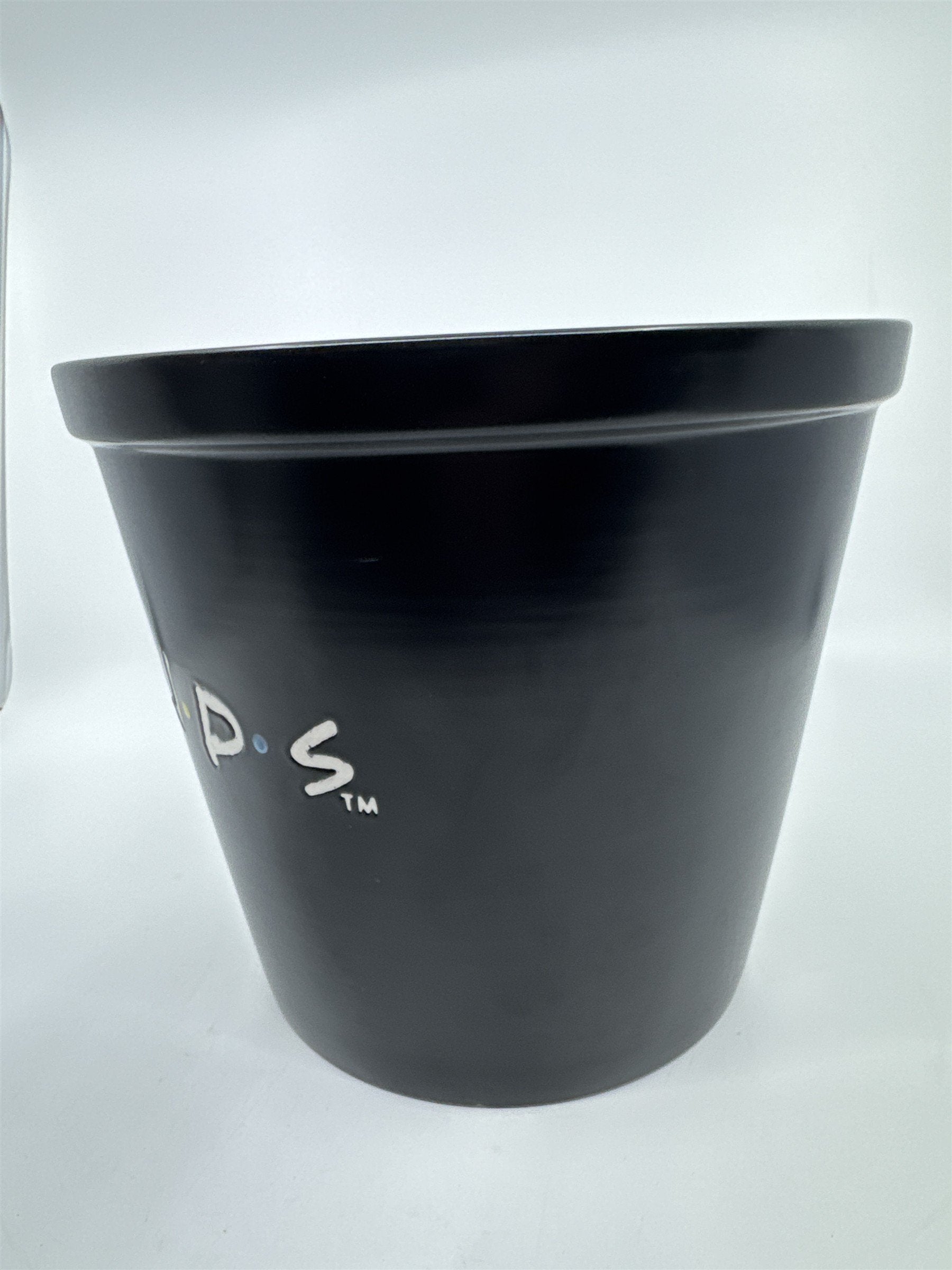 Warner Brothers TV Series Friends Ceramic Popcorn Serving Bucket/Bowl