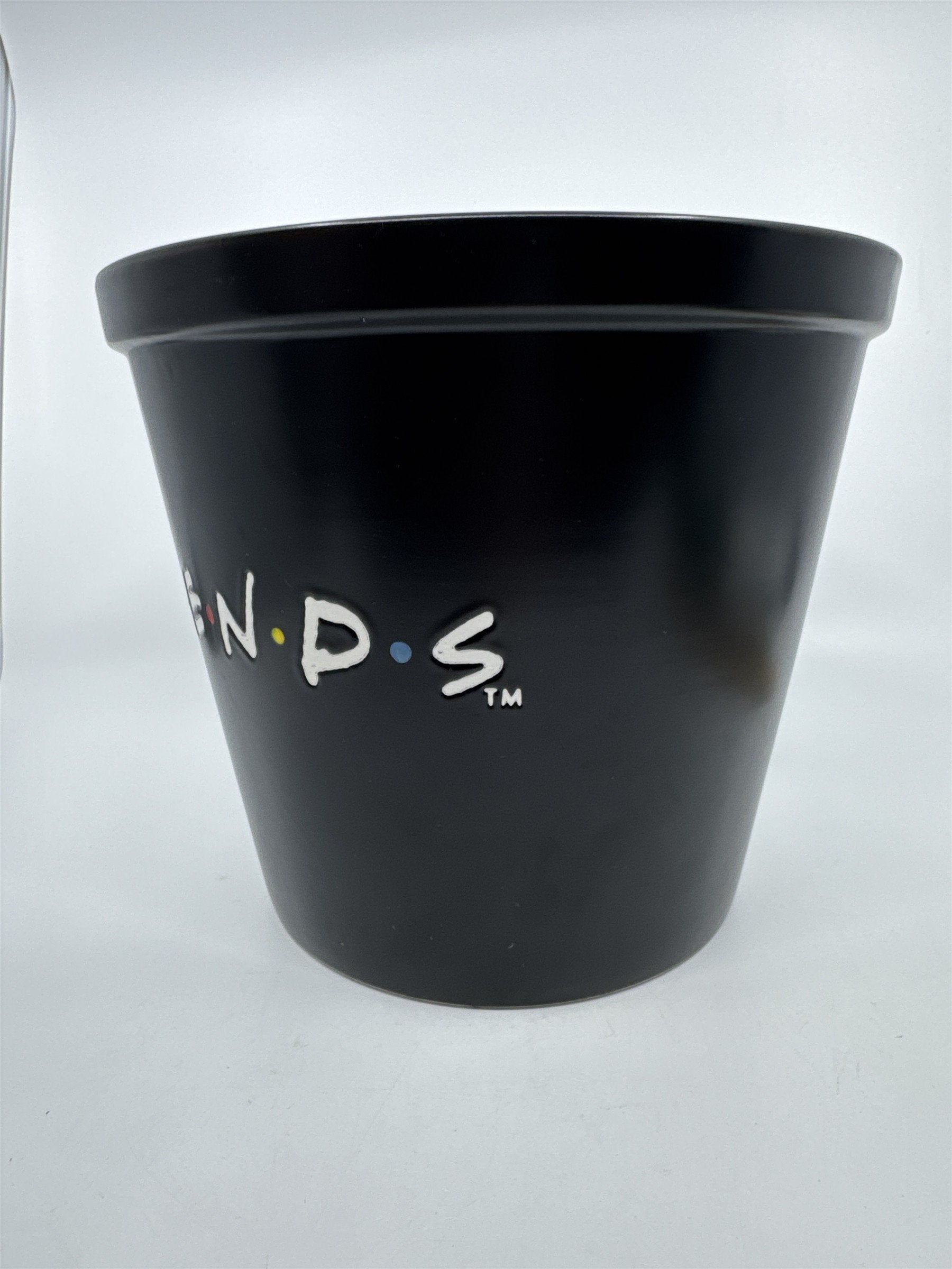 Warner Brothers TV Series Friends Ceramic Popcorn Serving Bucket/Bowl