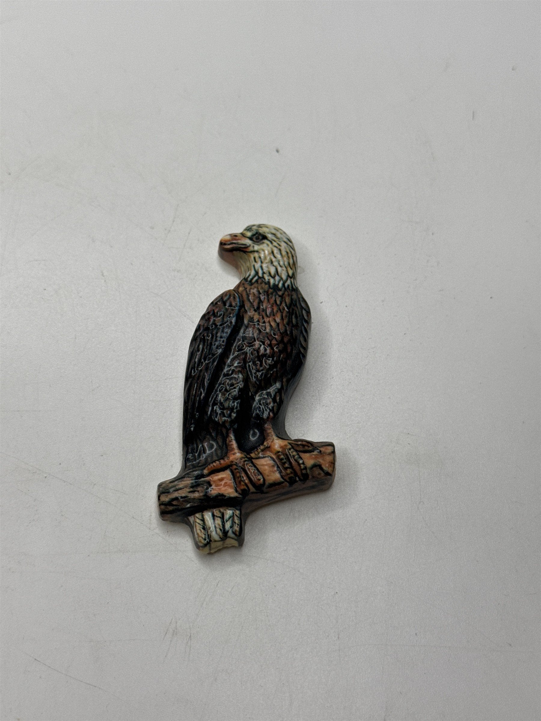 Vintage American Bald Eagle on Branch Refrigerator Magnet