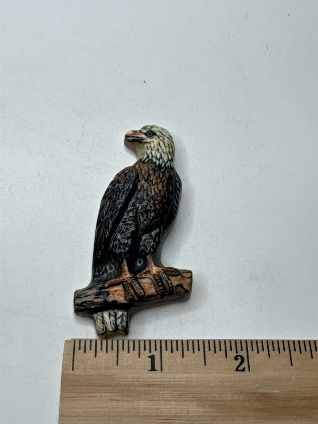 Vintage American Bald Eagle on Branch Refrigerator Magnet