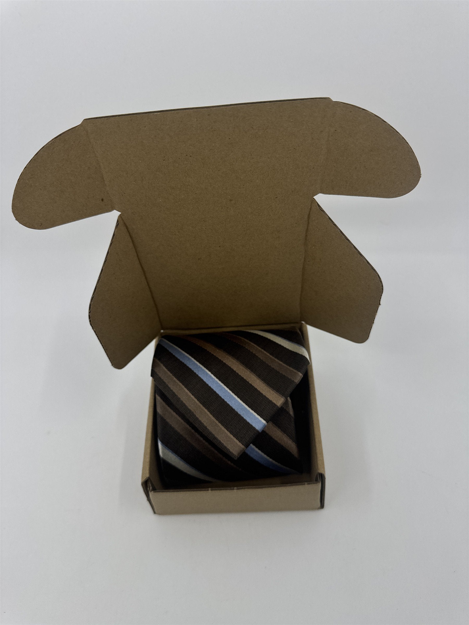 Enro Since 1919 Brown, White and Light Blue Striped Men's Neck Tie