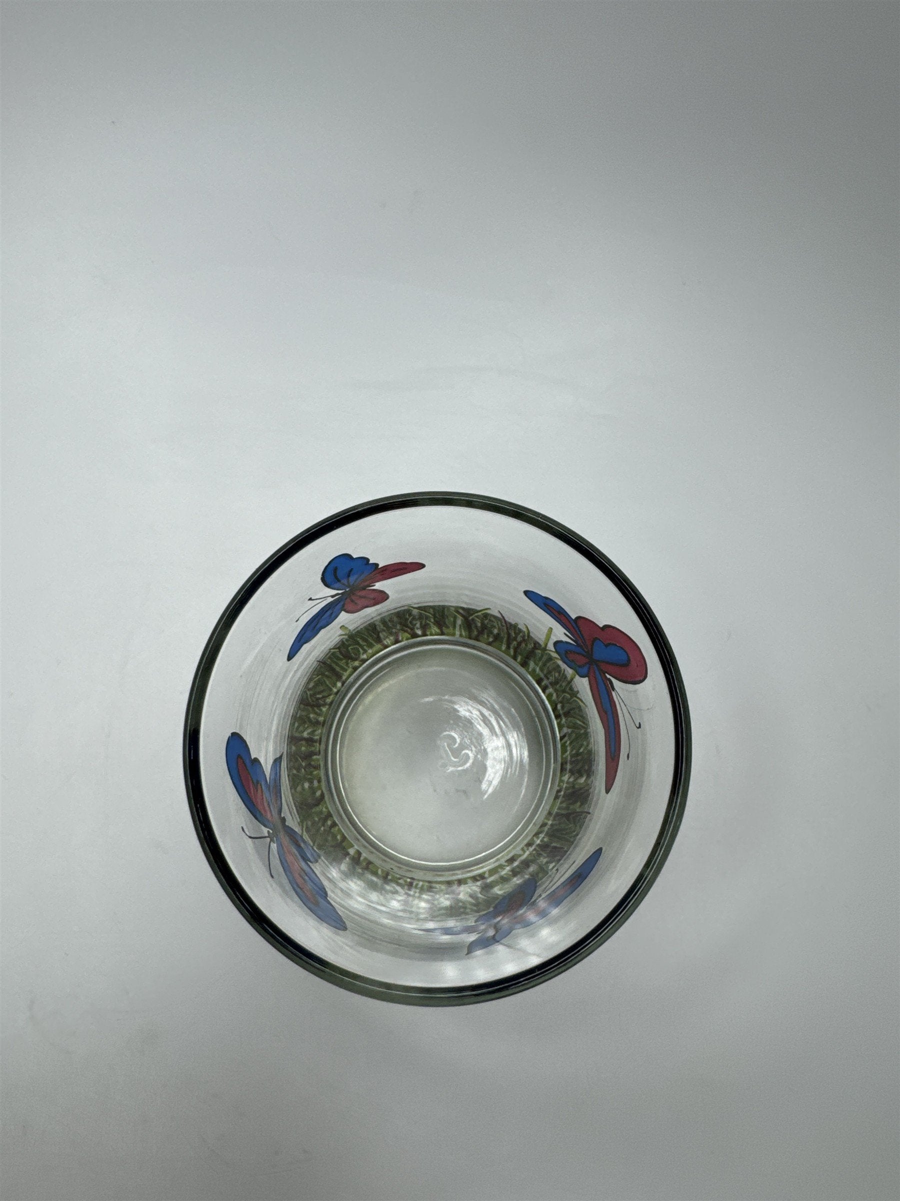 VINTAGE Libbey Juice Glass Butterflies & Grass Pattern Mid Century Modern