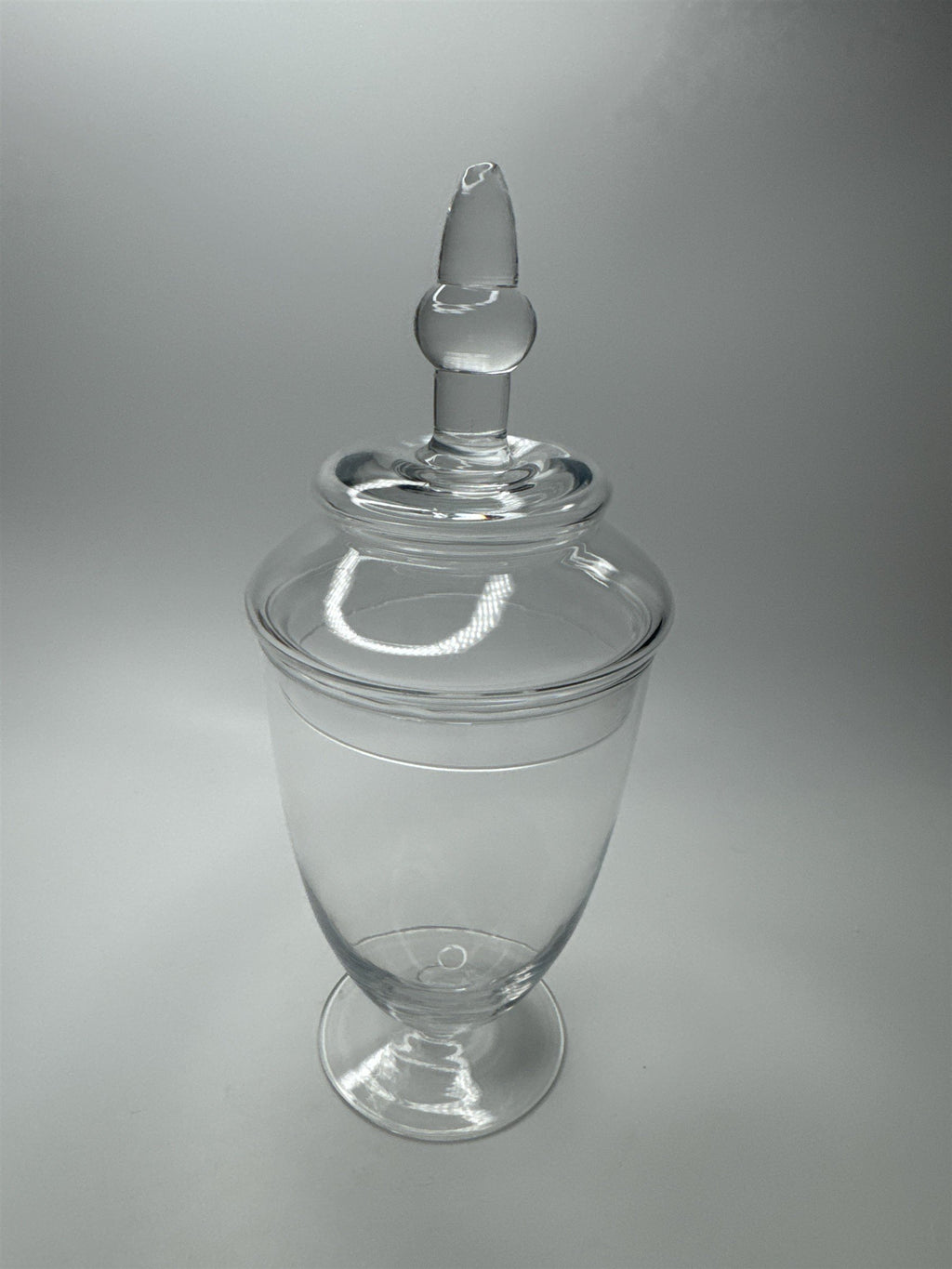 10.5" Tall Glass Apothecary Jar - Large Storage Canister Candy Bar Decor