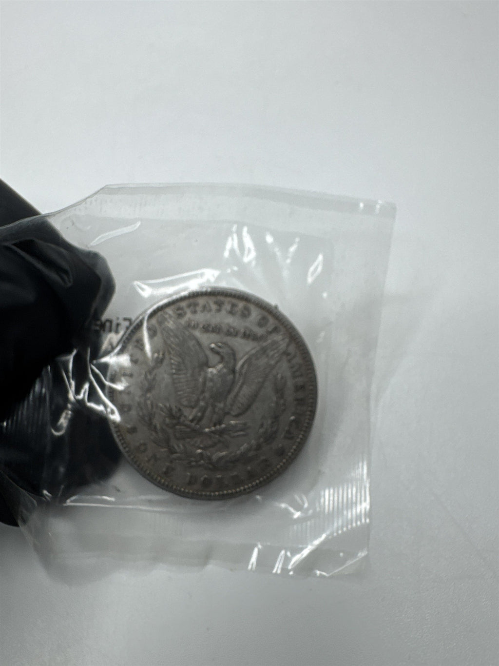 1882 Morgan Dollar Extra Fine ~ Scarce Coin ~ Littleton Coin Co