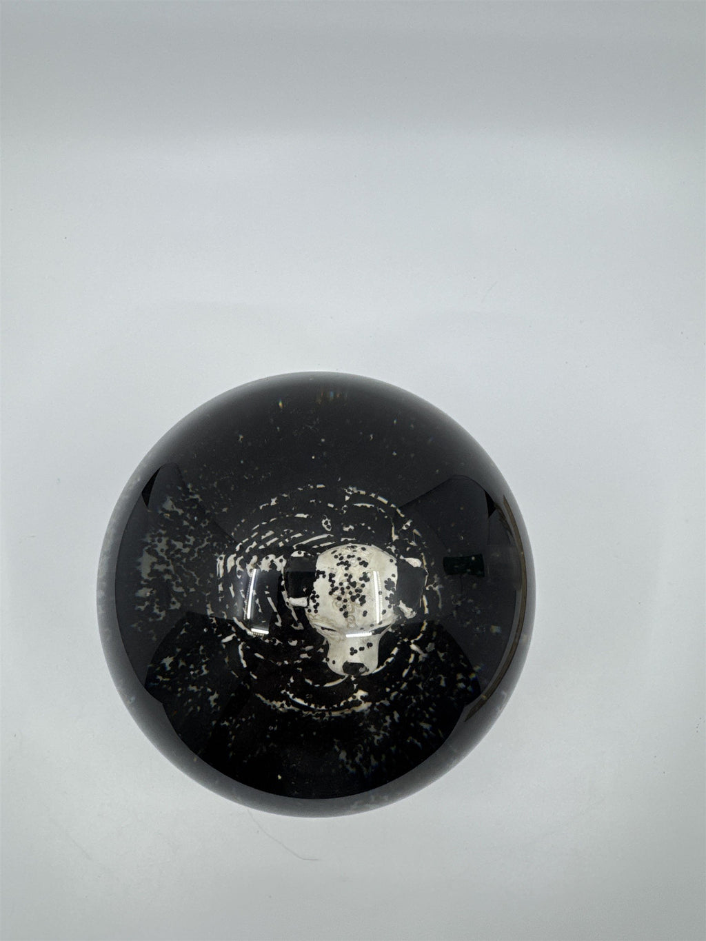 Happy Halloween Skeleton Dog Black And White Snowglobe