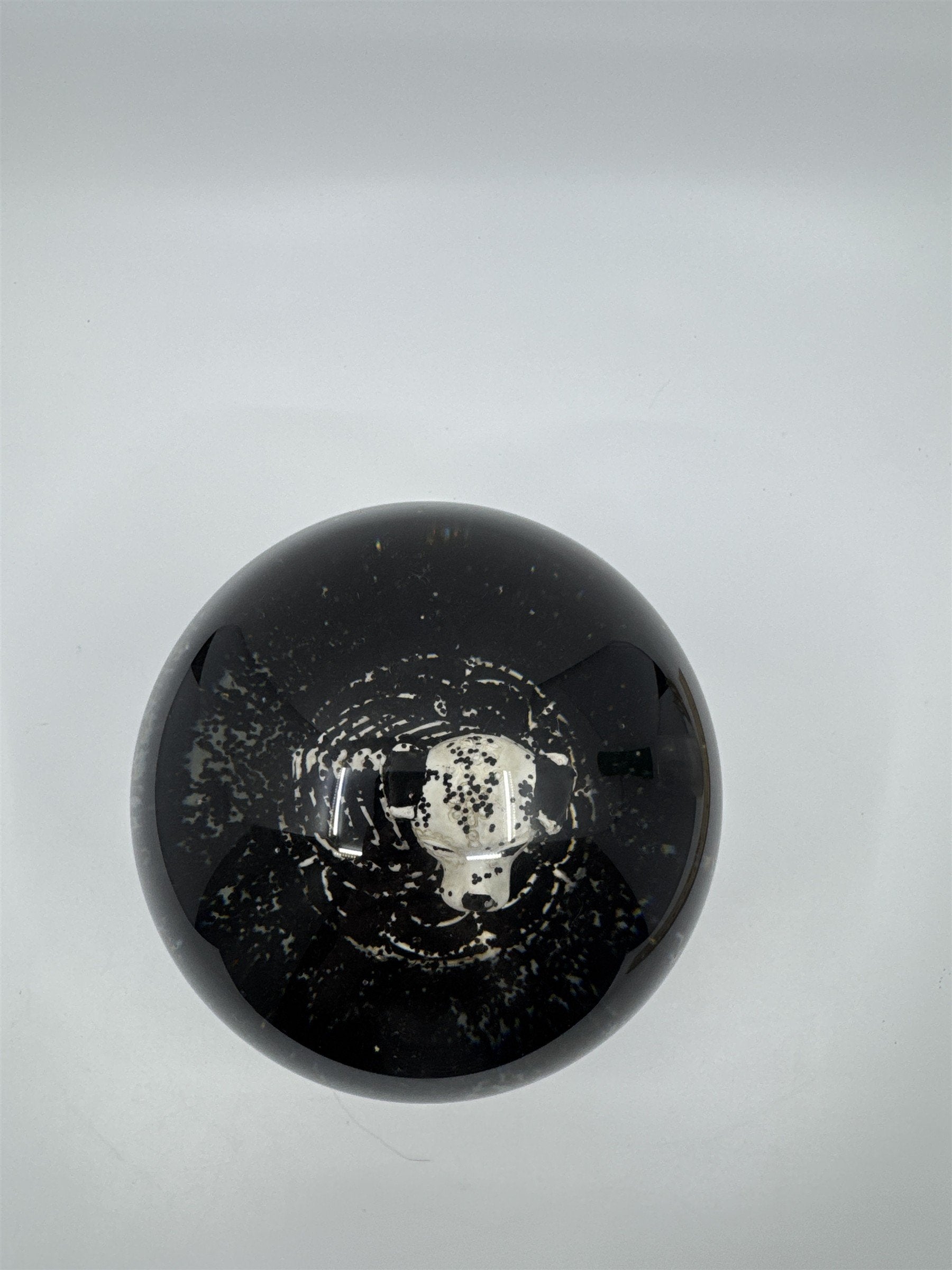 Happy Halloween Skeleton Dog Black And White Snowglobe