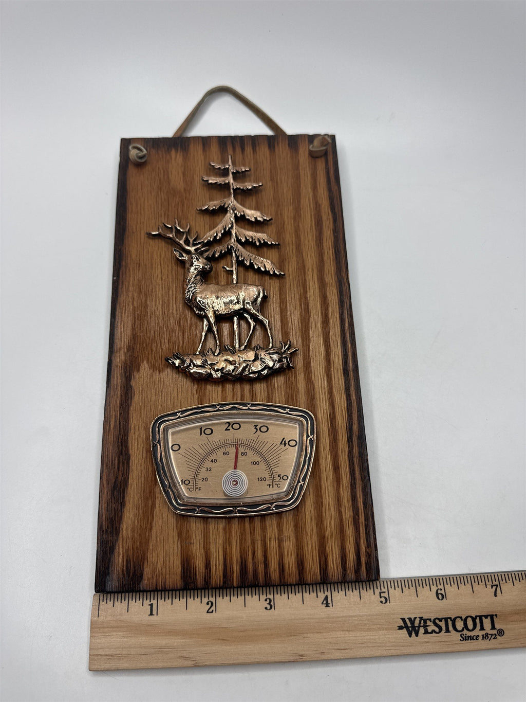 Ontario's Niagara Falls Vintage Hanging Plaque with Metal Deer Temperature Gauge