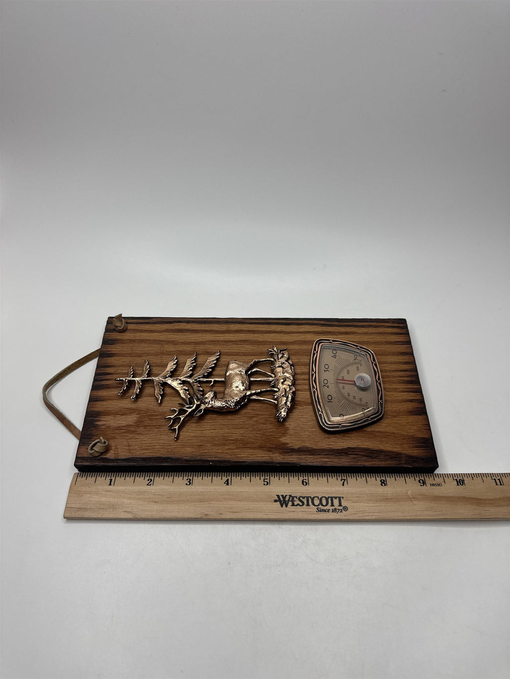 Ontario's Niagara Falls Vintage Hanging Plaque with Metal Deer Temperature Gauge
