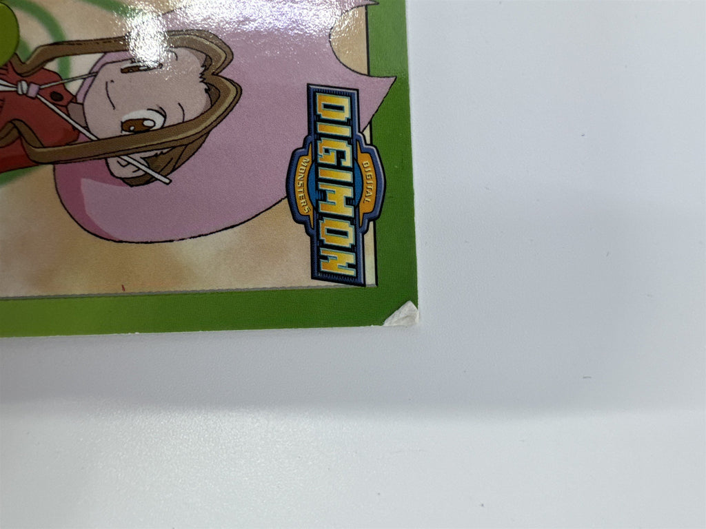 Set Of 10 Digimon Trading Cards