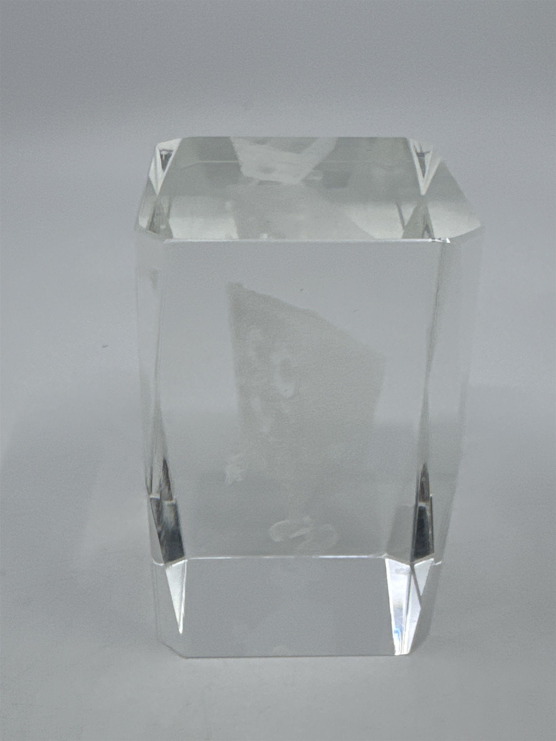 Laser Etched Crystal Glass Spongebob Squarepants 3-D Paperweight