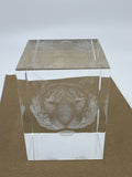 Laser Etched Crystal Glass Tiger 3-D Paperweight W/ Small Scratches