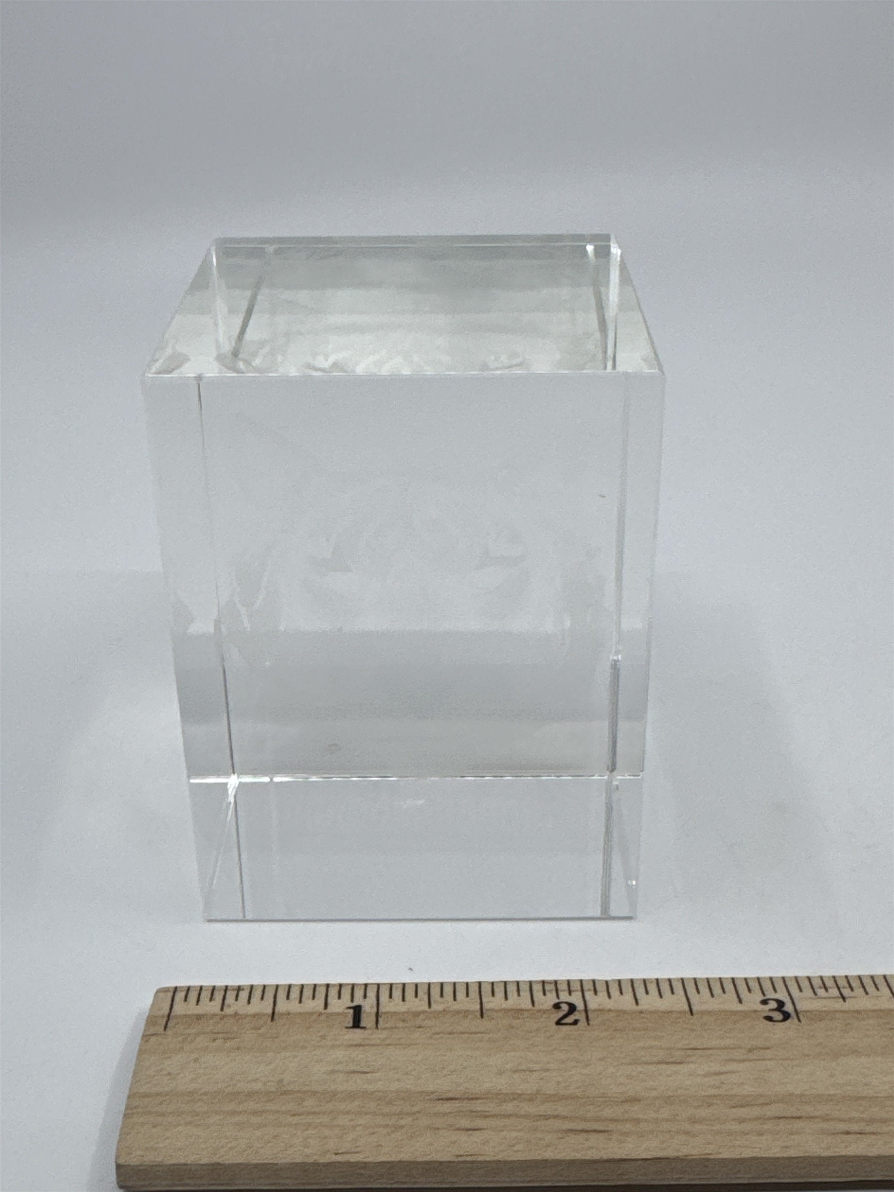 Laser Etched Crystal Glass Tiger 3-D Paperweight W/ Small Scratches
